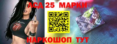 крисы Пенза