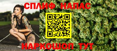 крисы Пенза