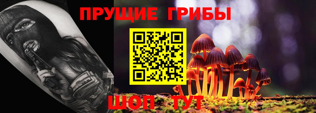 Саров  Галлюциногенные грибы GOLDEN TEACHER  Вход с VPN 