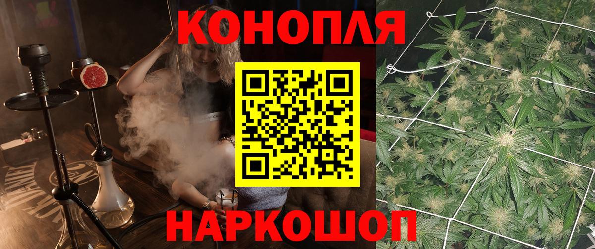 Саров  Шишки марихуана план  Конопля White Widow  Шишки марихуана марихуана  Вход с VPN  Бошки марихуана Amnesia 